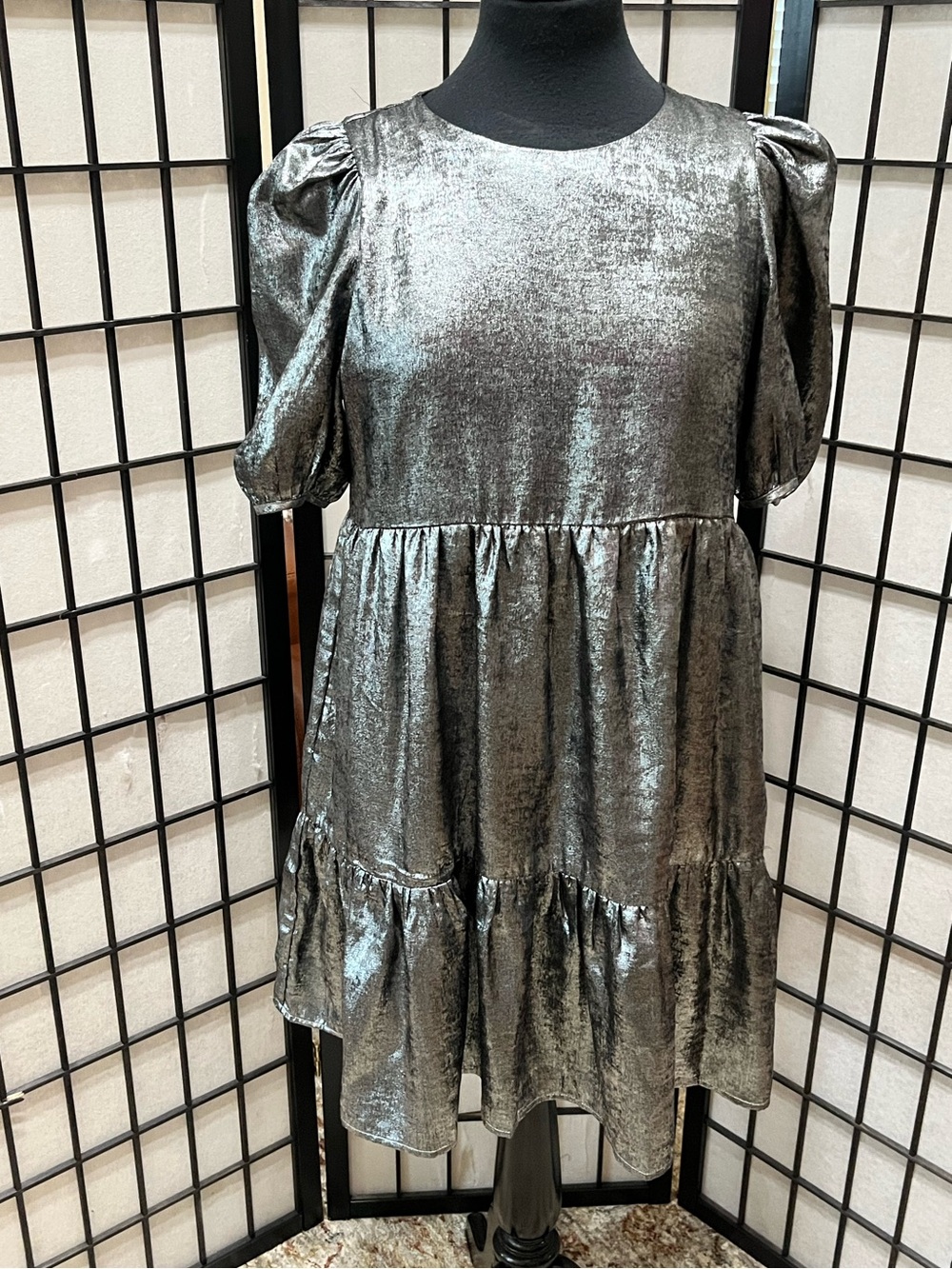 TCEC Metallic Silver Puff-Sleeve Tiered Dress women SIZE M - Picture 3 of 13